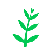 Olive Shoots app icon